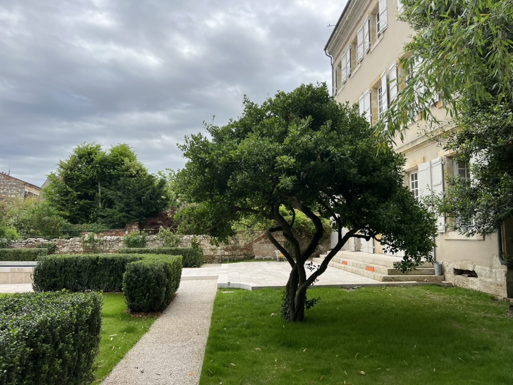 Aménagement extérieur - 3637DA2B 6D2A 4824 AD09 11A0FB2FD378 1 105 c 1753948924 5454