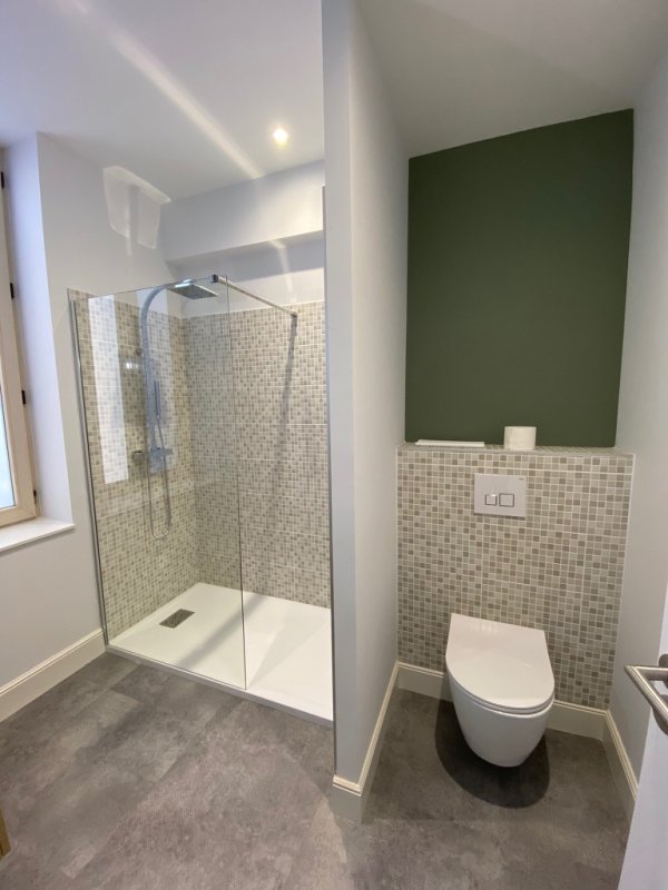 Salle de bain rénovée - B6DC04F3 D3AF 4569 BC8C AEB158AB65FD 1 105 c 1753946610 9201